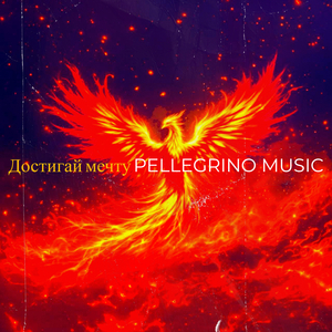 Достигай мечту