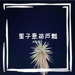 扬琴轻叩春消息