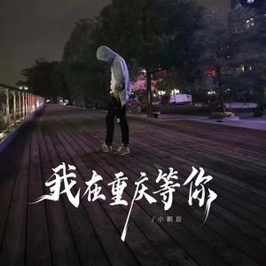 我在重庆等你