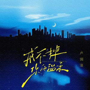 戒不掉你的温柔（DJ87版1.3X）