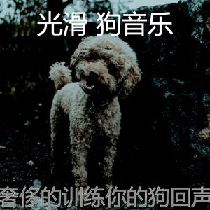 精彩小狗环境