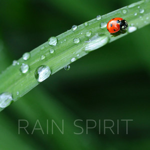 Soul Warming Rain