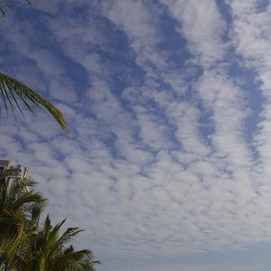 我愿意陪你翻过雪山，穿越戈壁（八音盒）