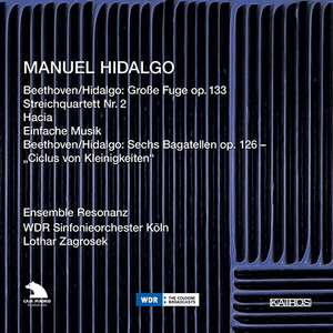 Grosse Fuge in B-Flat Major, Op. 133 (arr. M. Hidalgo for string orchestra)