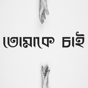 তোমাকে চাই