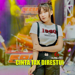 Cinta Tak Direstui