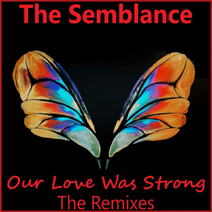 Our Love Was Strong (Joey Koala Remix)