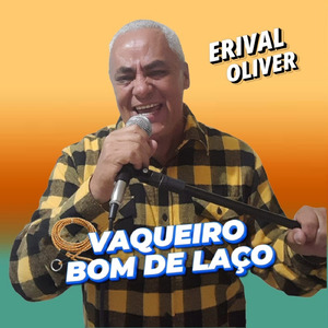 VAQUEIRO BOM DE LAÇO (FORRÓ)