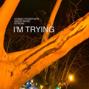 I'm Trying (Extended Mix)