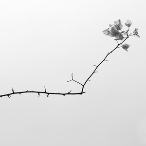 落空（Cover 印子月）