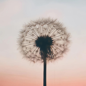 连吃醋的资格都名不正言不顺