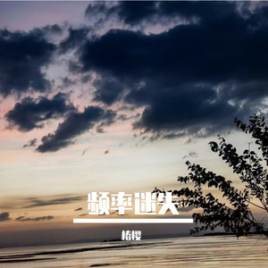 频率迷失