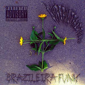 BRAZIL 0902 (BRAZILIAN FUNK)