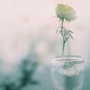 爱你的语言（天天晴 remix）