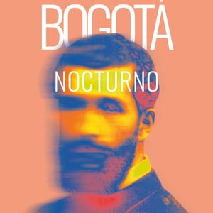 José Asunción Silva, Noche de Bogotá