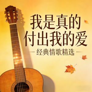 我是真的付出我的爱