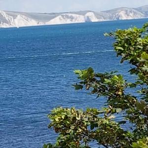 I know i need to forget you