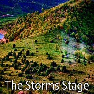 Rain in the Tree Tops