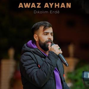 Dıkolım Erde Halay Potpori (feat. Awaz Ayhan)