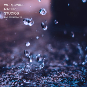 Rain Soundscapes