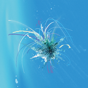 유성이 찾아온 밤