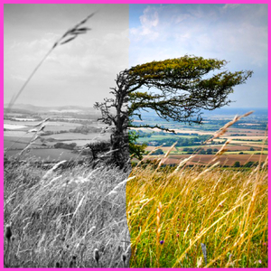 tokyo's very own (recognize ii)