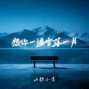 想你一遍雪落一片