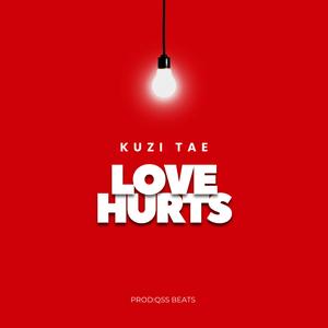 LOVE HURTS (feat. QSS)
