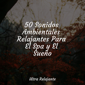 Curación Astral