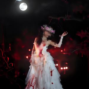 罗曼蒂克乌托邦