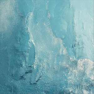 The Polar Realm