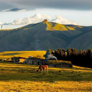 只想与你到永远