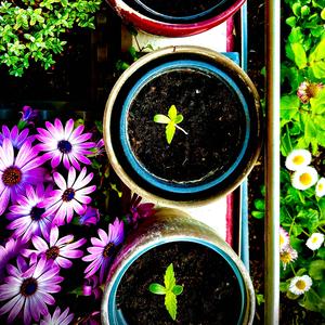 Artikulation (Spanish Tribe)