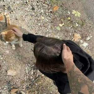 Automotivo Magia Terrorifica