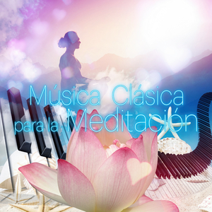 Piano Concerto No. 16 in D Major, K. 451: II. Andante