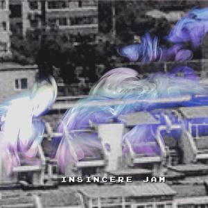 Insincere Jam #1