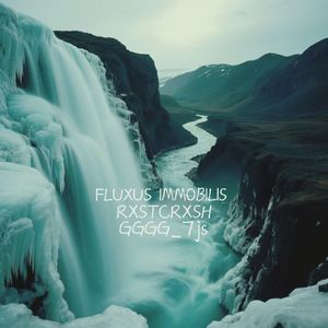 Fluxus Immobilis（静态流动）