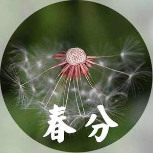 人生若只如初见5