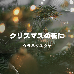 クリスマスの夜に