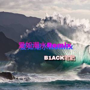 -爱如潮水remix（Variable17/B1ACKLF Remix）
