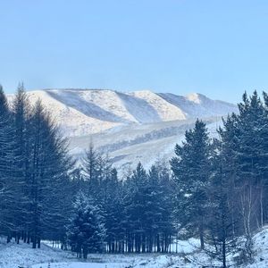 Anchored In Your Harbor