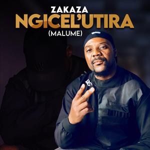 Ngicel'uTira (Malume)