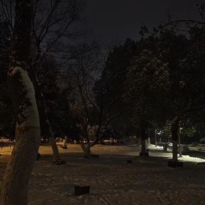 白羊_哈秋(1).mp3