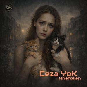 Ceza Yok (Anatolian Psychedelic)