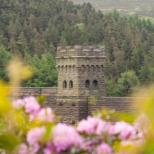 best for you (feat. mixed matches)