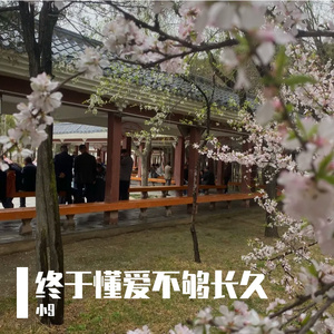 终于懂爱不够长久