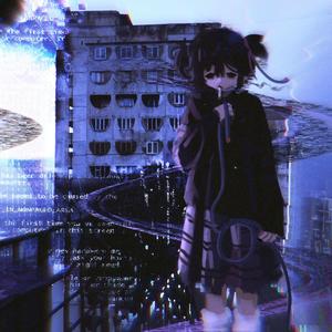 cold morning in the forest