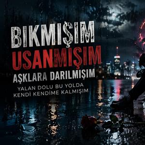 Bıkmışım Usanmışım