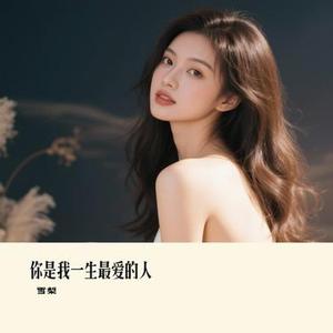 你是我一生最爱的人 (雪梨 Remix)