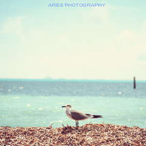 说散就散（Cover 艾福杰尼 / 黄旭）